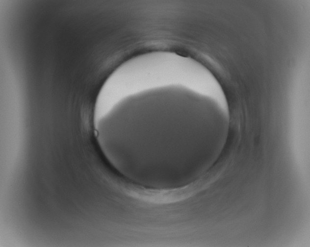 X0000111470023200908101124