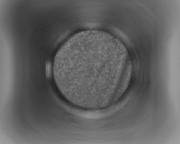 X0000111470024200908101124