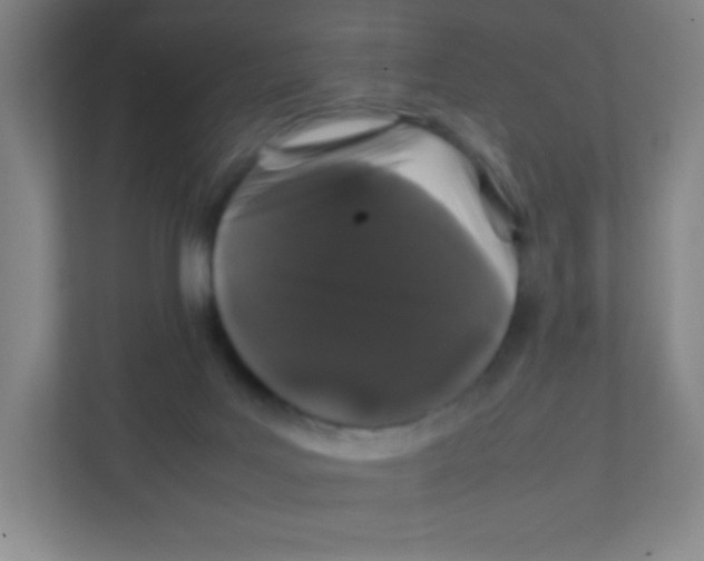 X0000111470027200908101123