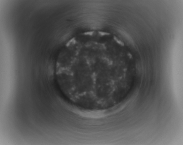 X0000111470032200908101123