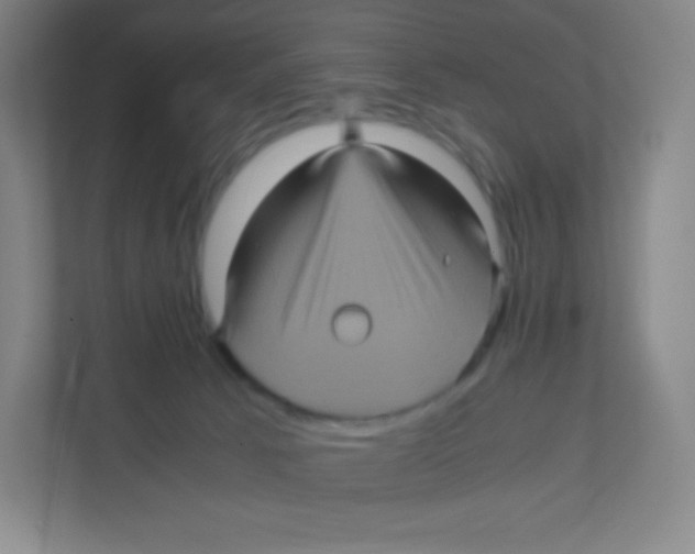 X0000111470033200908101123