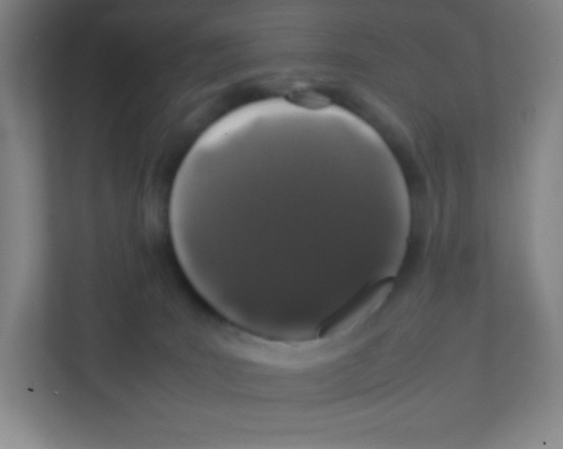 X0000111470035200908101123