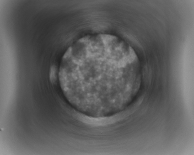 X0000111470038200908101123