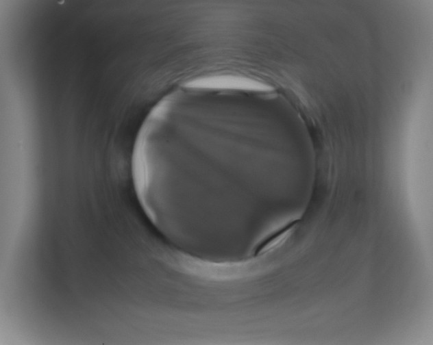 X0000111470039200908101123