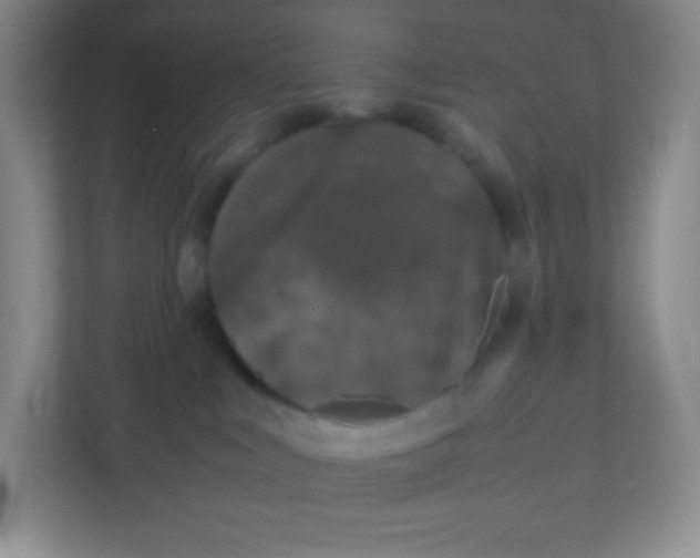 X0000111470043200908101123