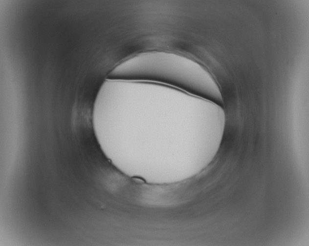 X0000111470045200908101123