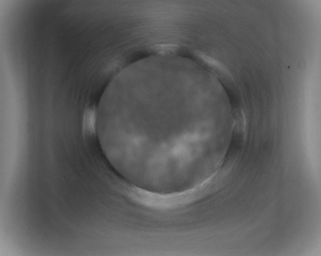 X0000111470047200908101123