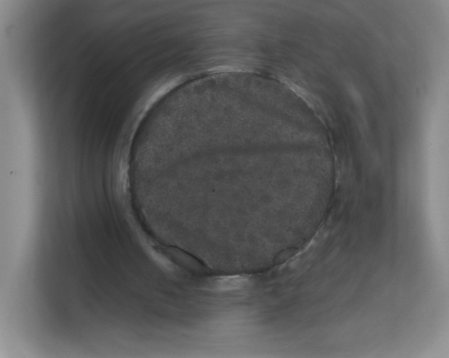 X0000111470050200908101123