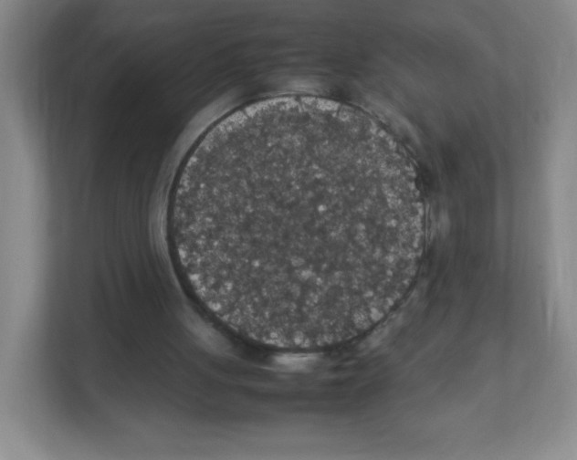 X0000111470051200908101123