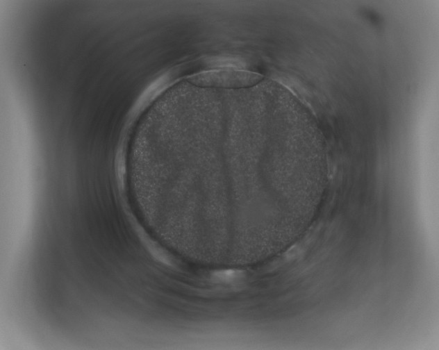 X0000111470053200908101123