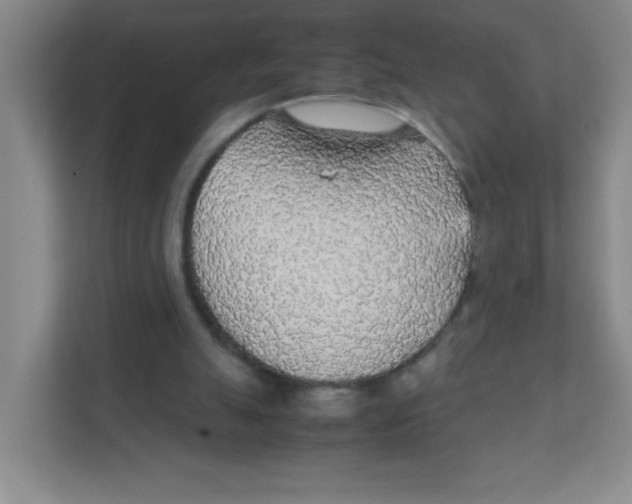 X0000111470055200908101123