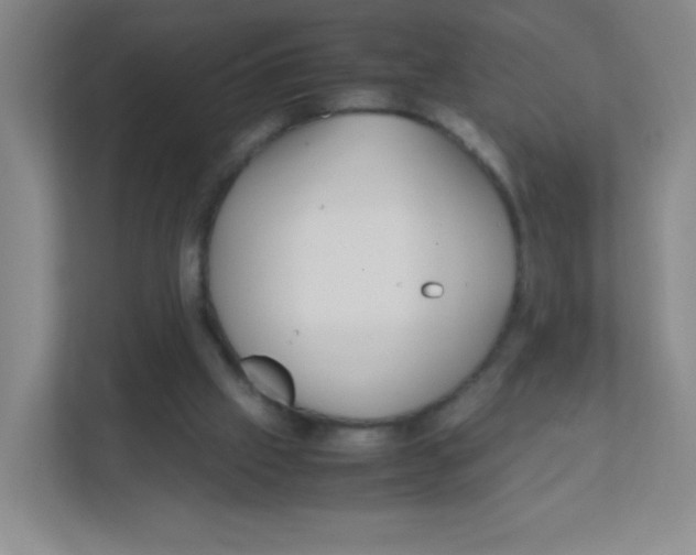 X0000111470057200908101123