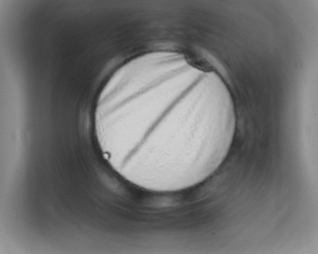 X0000111470059200908101123