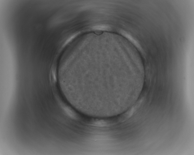 X0000111470062200908101123