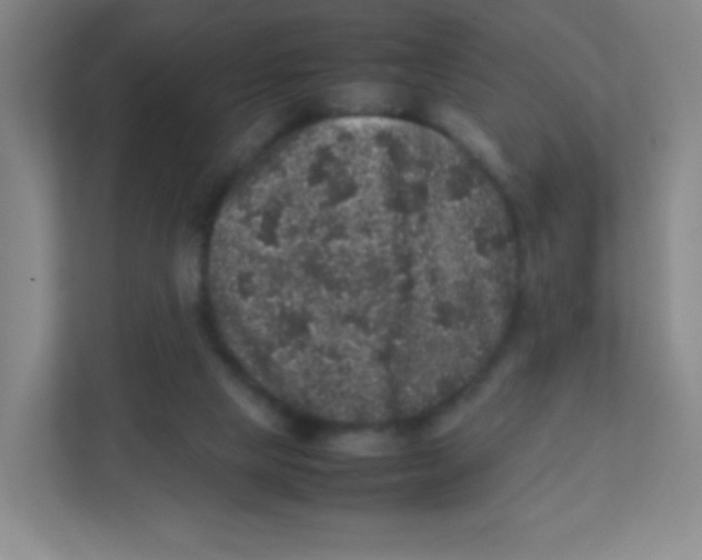 X0000111470065200908101123