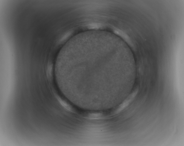 X0000111470066200908101123