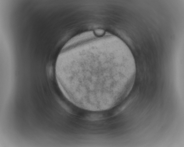 X0000111470067200908101123