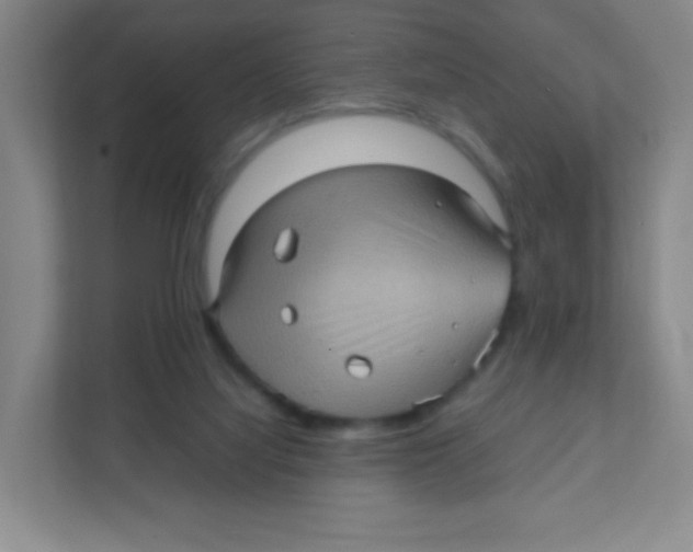 X0000111470068200908101123