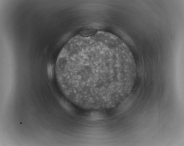 X0000111470070200908101123