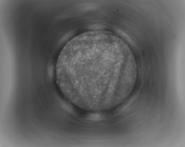 X0000111470071200908101123