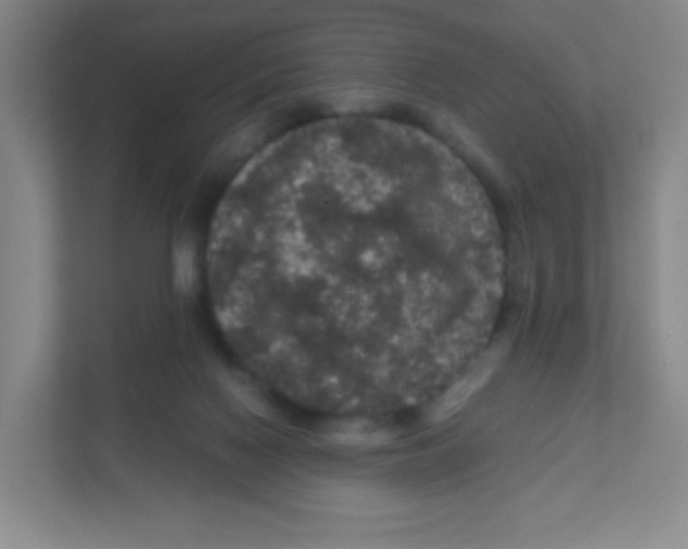 X0000111470074200908101123