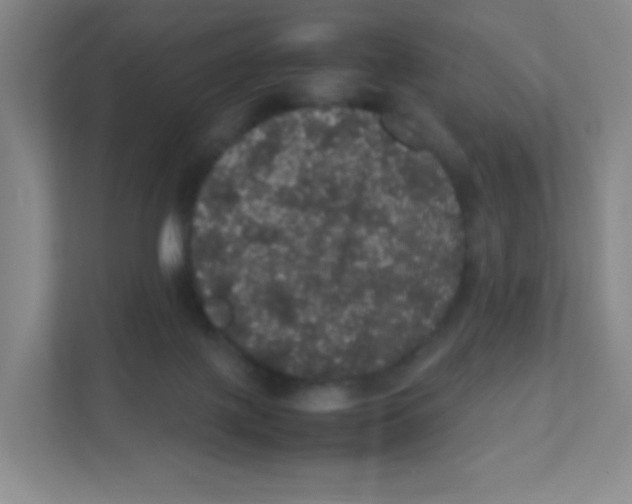 X0000111470075200908101123