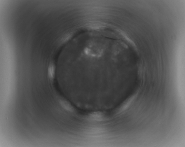 X0000111470076200908101123