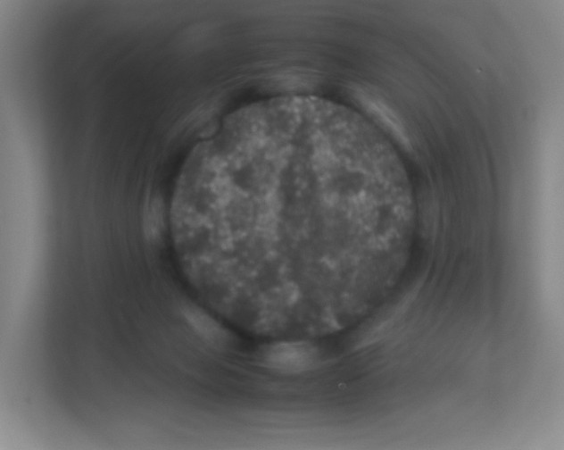 X0000111470077200908101123