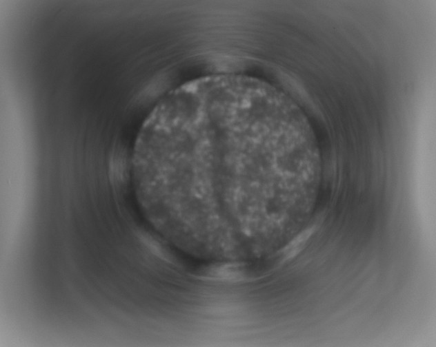 X0000111470078200908101123