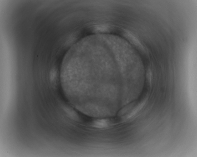 X0000111470079200908101123