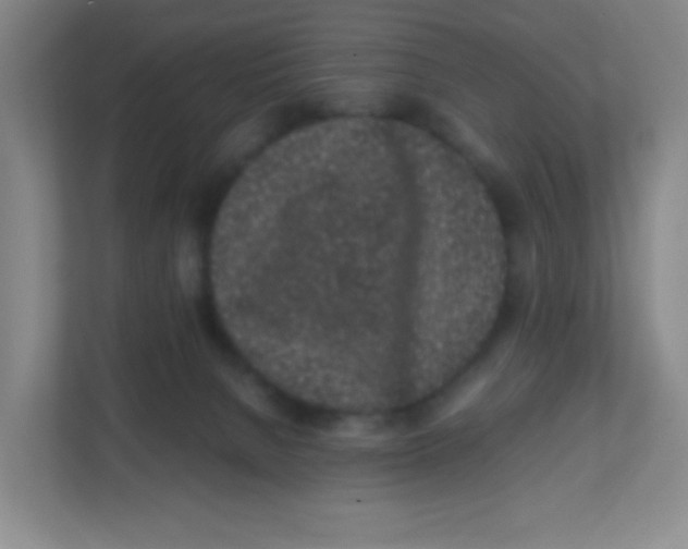 X0000111470080200908101123