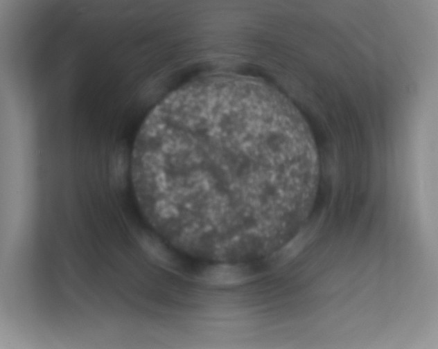 X0000111470082200908101123