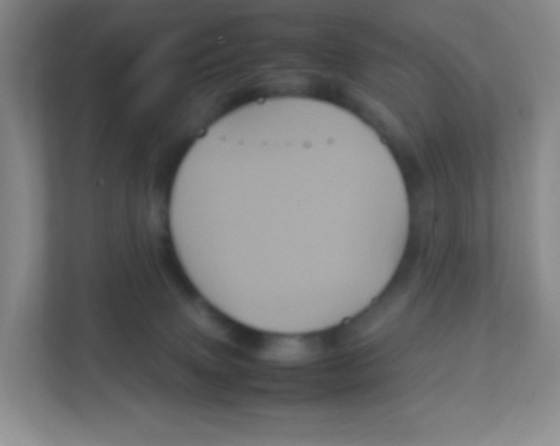 X0000111470083200908101123