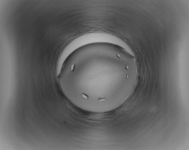 X0000111470084200908101123