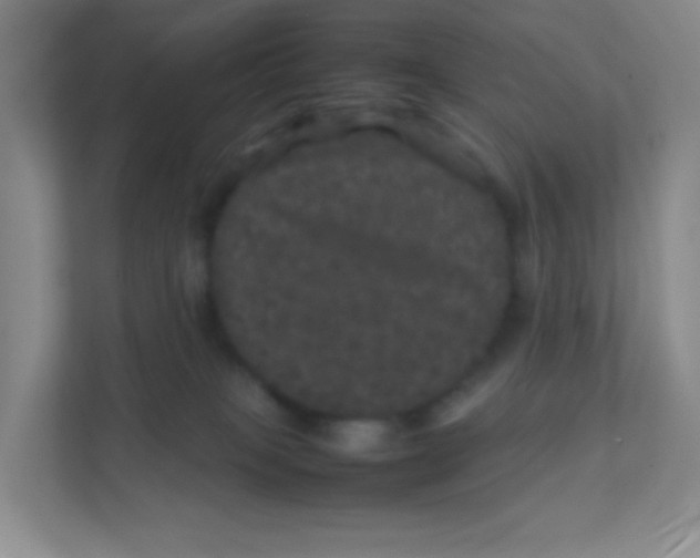 X0000111470085200908101123