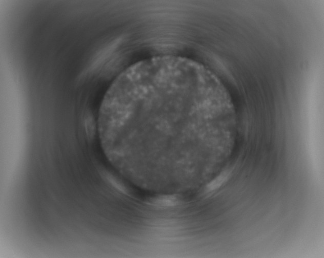 X0000111470086200908101123