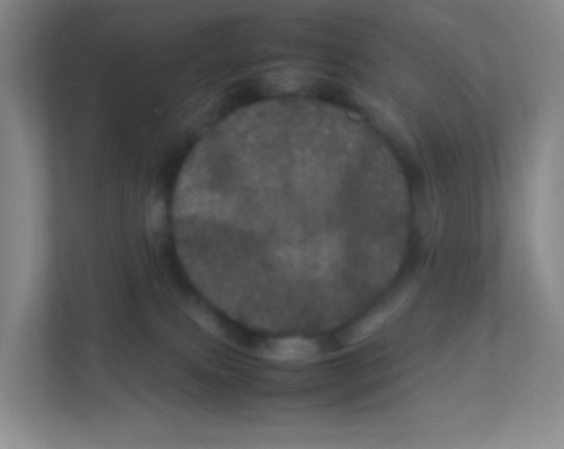 X0000111470087200908101123