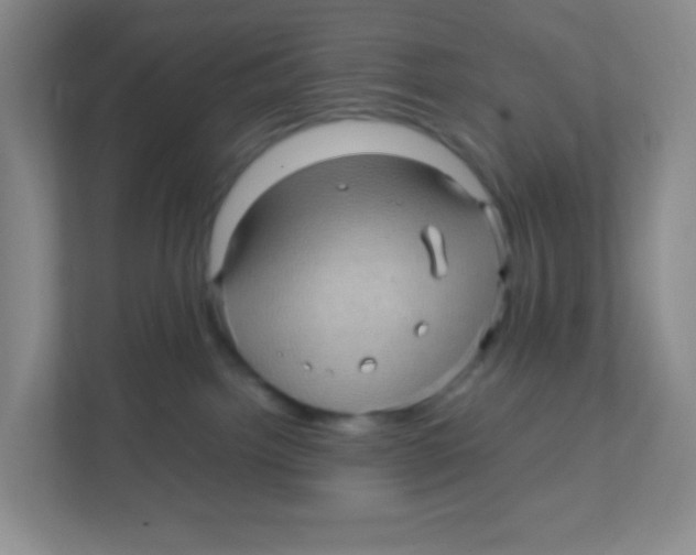 X0000111470092200908101123