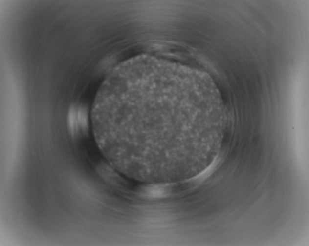 X0000111470094200908101123