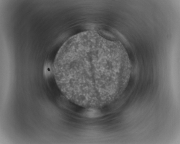 X0000111470095200908101123