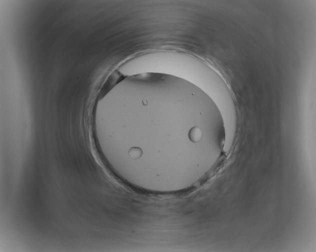 X0000111470097200908101123