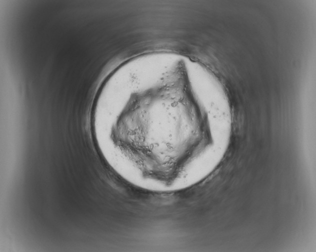 X0000111470099200908101123