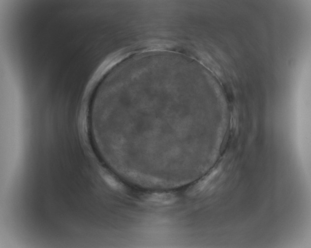 X0000111470101200908101123