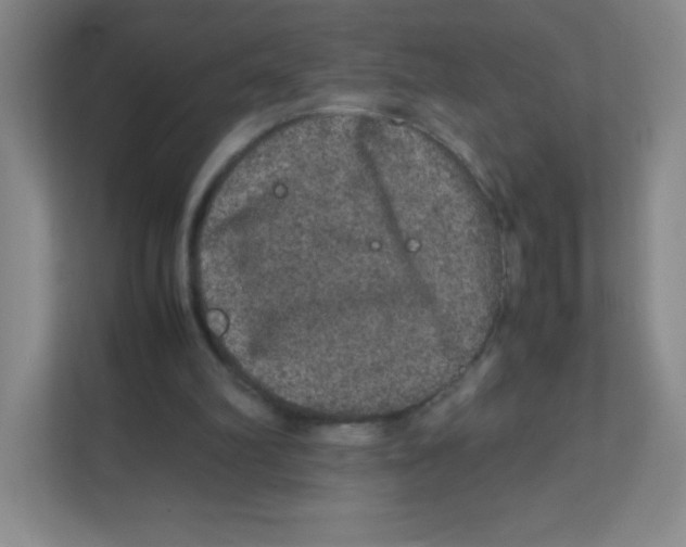 X0000111470102200908101123