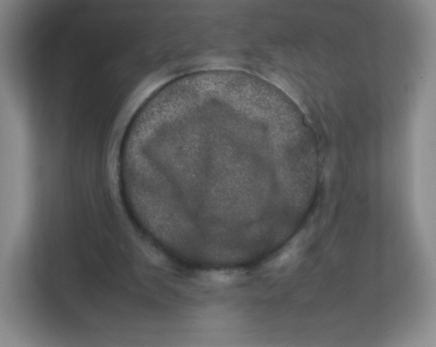 X0000111470103200908101122