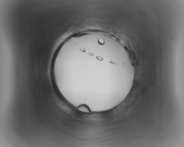 X0000111470104200908101122