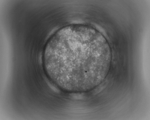 X0000111470106200908101122