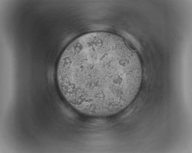 X0000111470107200908101122