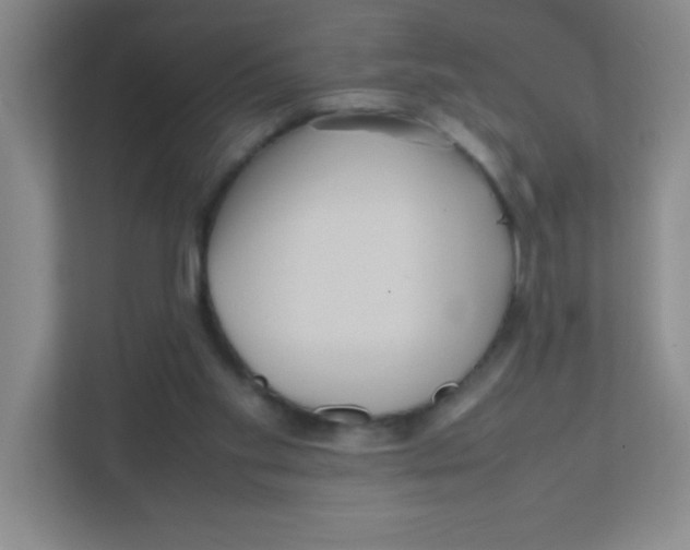 X0000111470109200908101122