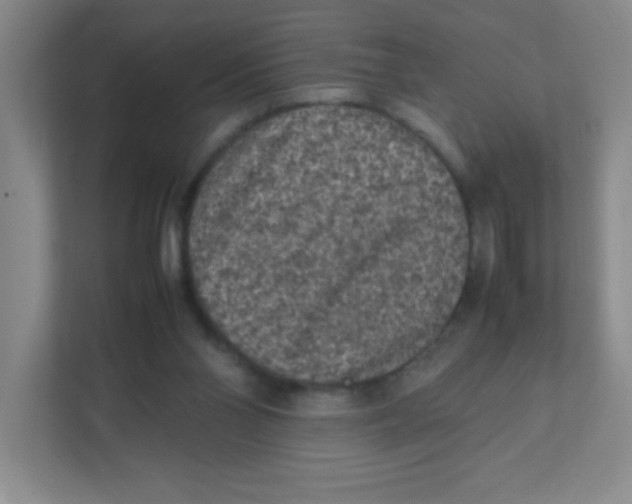 X0000111470110200908101122